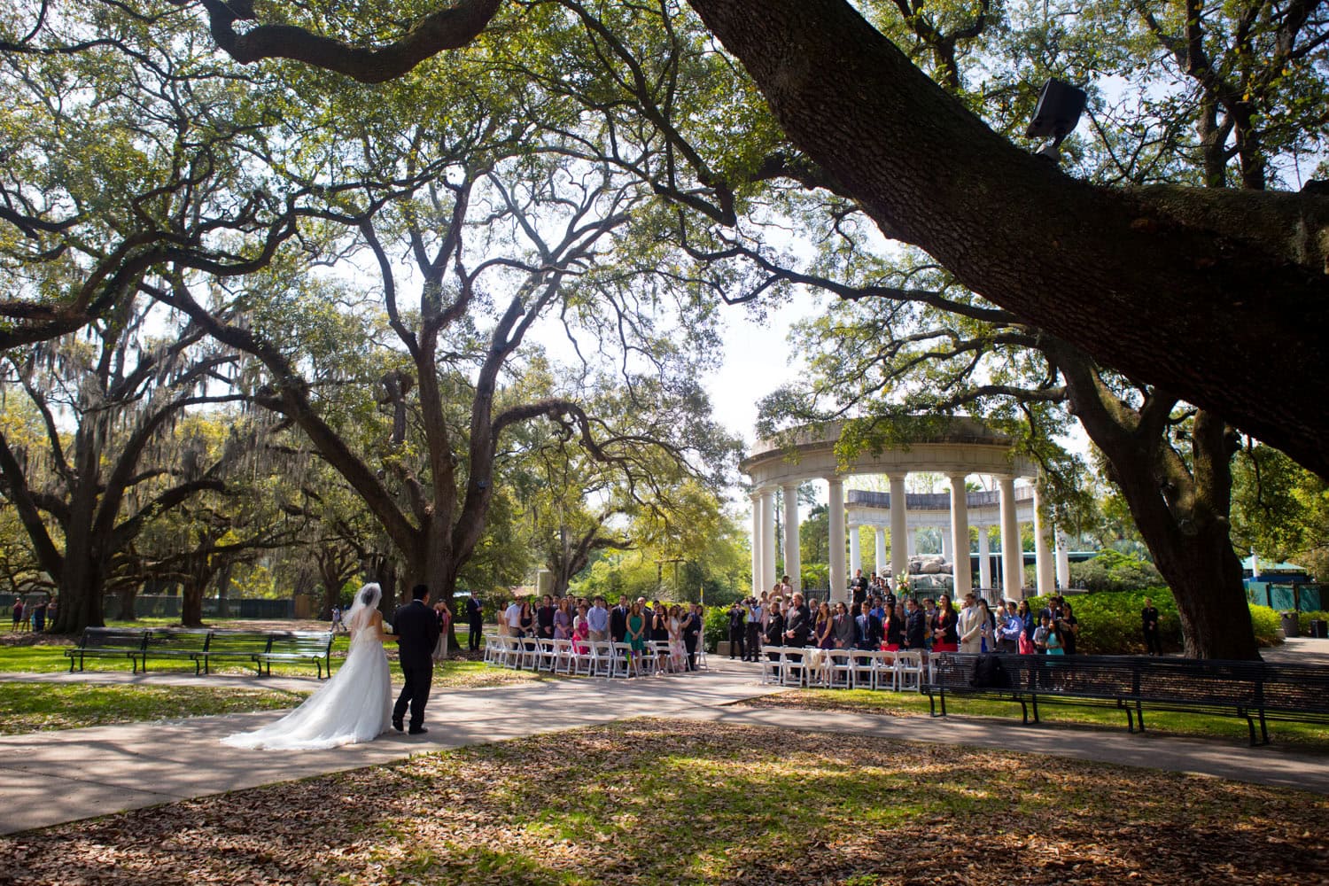 Bride and father at wedding ceremony at the Audubon Zoo with large trees and guests.