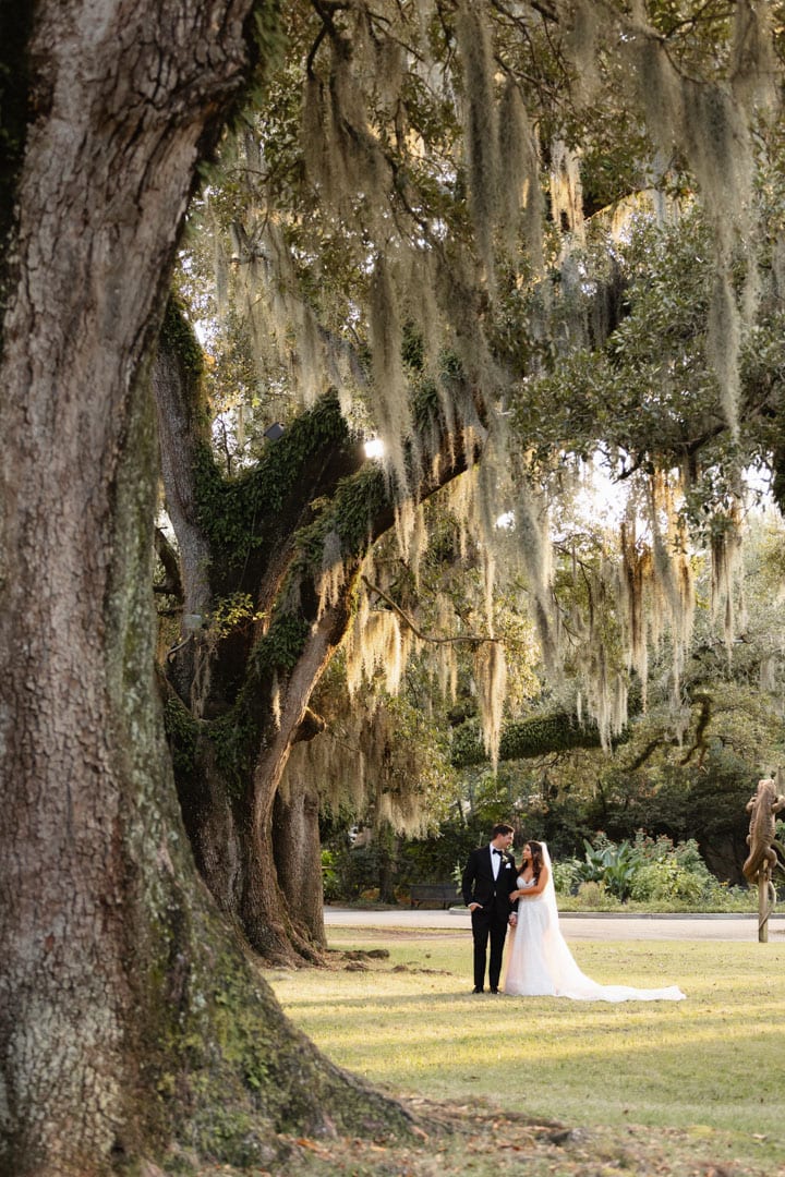 Wedding couple under large moss-covered oak tree at the Audubon Zoo.